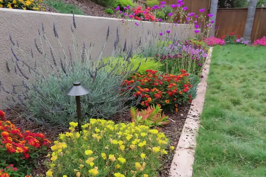 Advanced Irrigation & Landscape Lighting Solutions